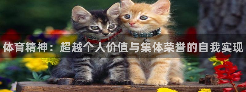 oety欧亿体育官网下载平台假的吗是真的吗：体育精神