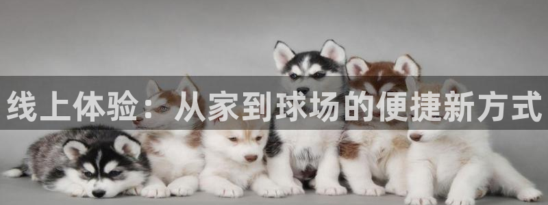 欧亿体育官方正版app集团E.ON：线上体验：从家到
