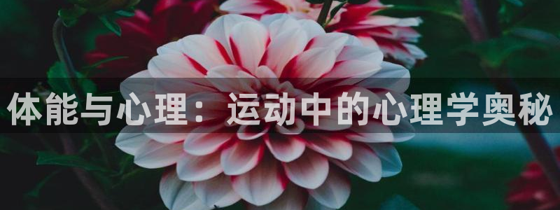 海南oety欧亿体育官网下载发展怎么样：体能与心理：