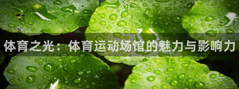 欧亿体育官方正版app娱乐