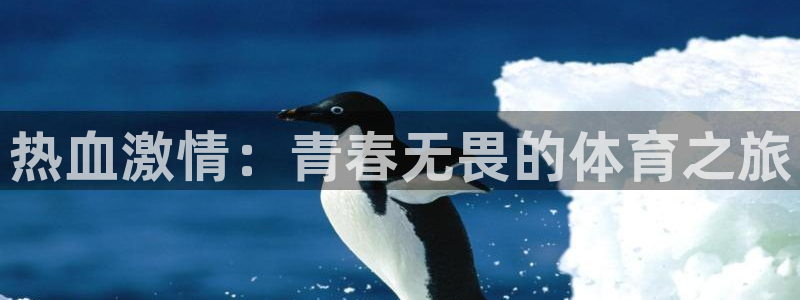 oety欧亿体育官网下载招商电话号码：热血激情：青春无畏的体