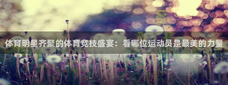 海南oety欧亿体育官网下载发展怎么样：体育明星齐聚的体育竞