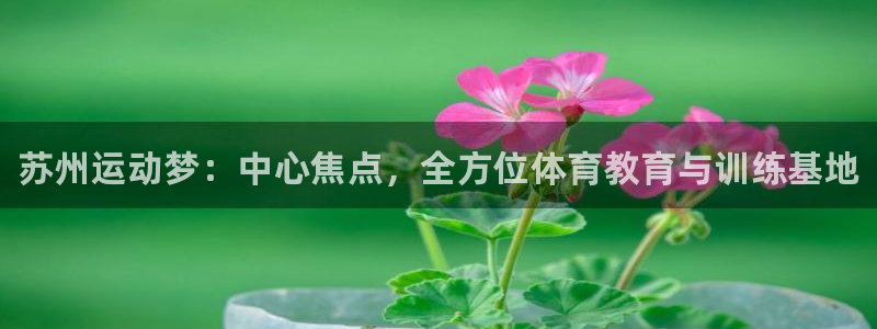 欧亿体育官方正版app官方：苏州运动梦：中心焦点，全