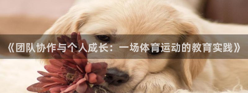 欧亿体育官方正版app娱乐下载：《团队协作与个人成长：一场体