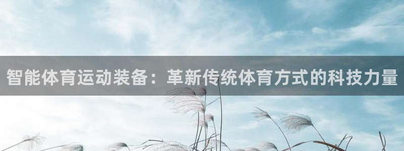 oety欧亿体育官网下载是干嘛的公司：智能体育运动装备：革新