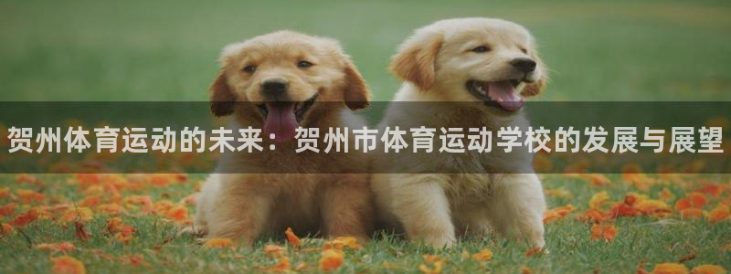 欧亿体育官方正版app官方：贺州体育运动的未来：贺州市体育运