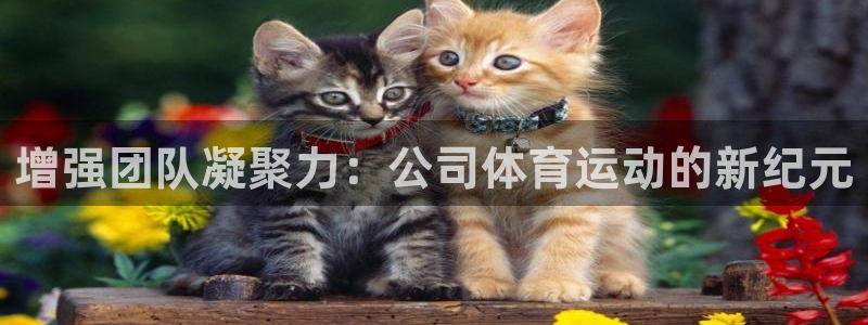 欧亿体育官方正版app官网：增强团队凝聚力：公司体育