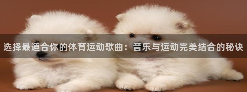 oety欧亿体育官网下载平台注册：选择最适合你的体育