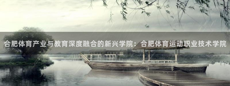 欧亿体育官方正版app集团E.ON：合肥体育产业与教