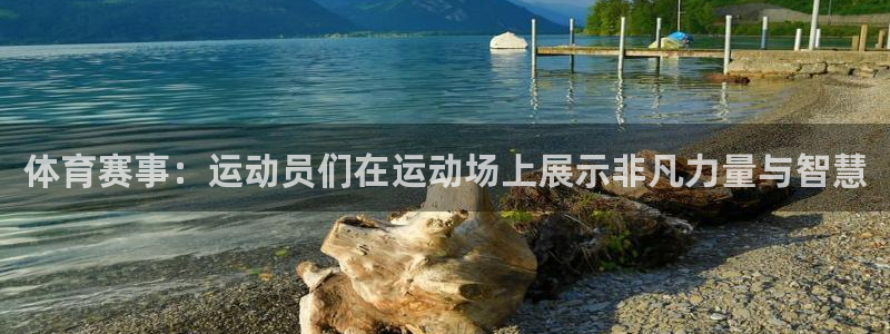 oety欧亿体育官网下载平台假的吗是真的吗吗：体育赛