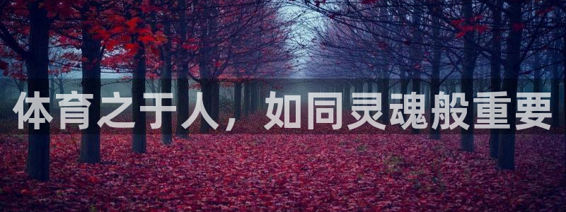 oety欧亿体育官网下载平台APP