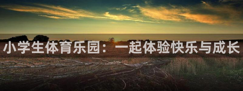 oety欧亿体育官网下载软件：小学生体育乐园：一起体