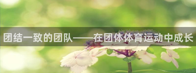 欧亿体育官方正版app娱乐代理怎么样