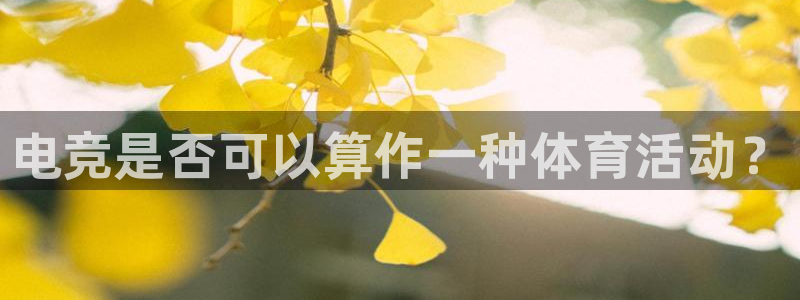 oe欧亿许明星：电竞是否可以算作一种