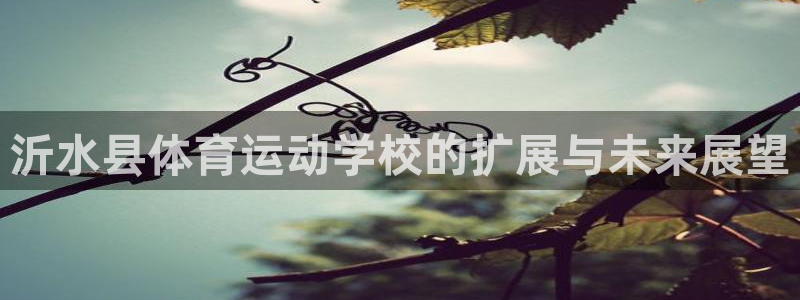 oety欧亿体育：沂水县体育运动学校
