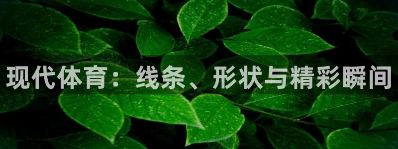 最新欧亿app官方下载：现代体育：线