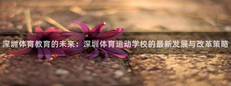 欧亿体育官方正版app官方：深圳体育教育的未来：深圳体育运动