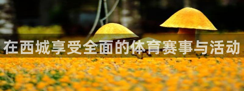 欧亿体育官方正版app集团官网首页网址：在西城享受全面的体育